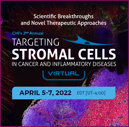 Targeting Stromal Cells in Cancer and Inflammatory Diseases 
